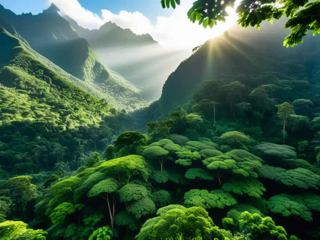 El bosque exuberante de la comunidad Lof Cushamen con la luz del sol filtrándose a través del dosel, destacando la belleza natural