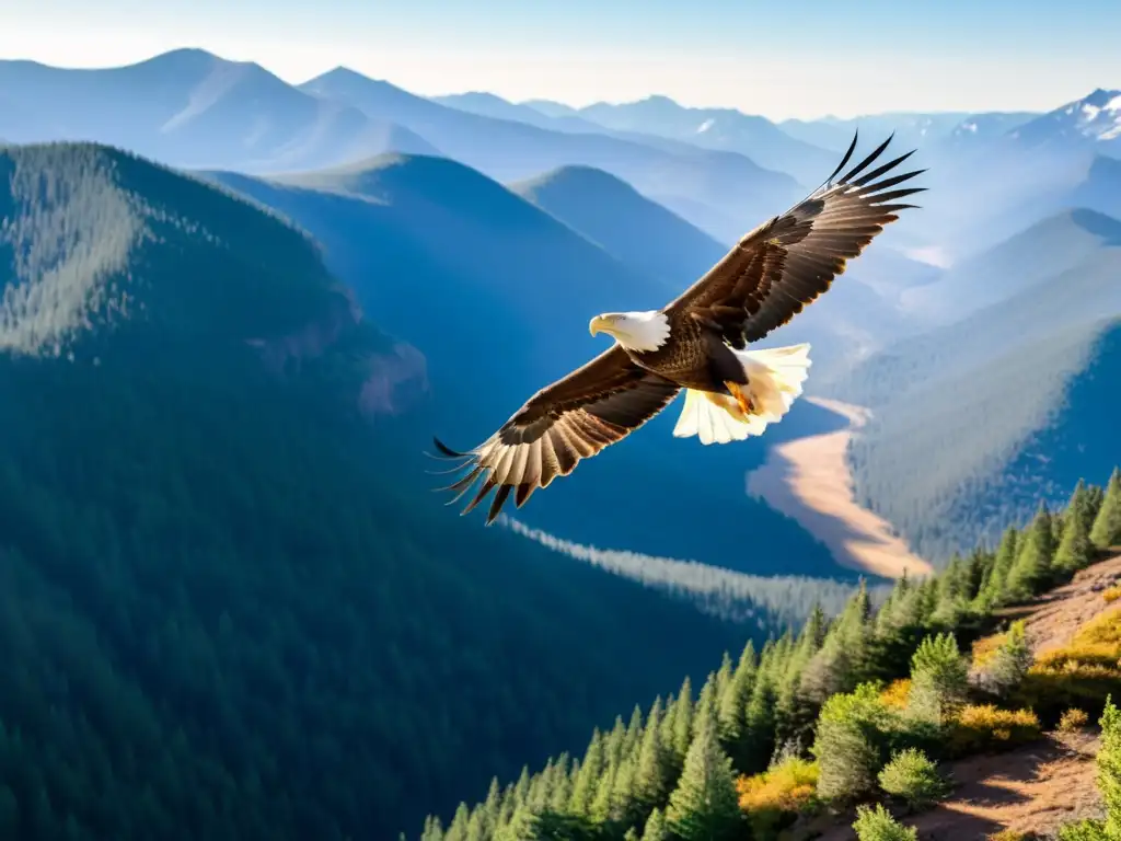 Un águila majestuosa surca el cielo azul sobre un paisaje natural, mostrando el éxito del Protocolo de Montreal