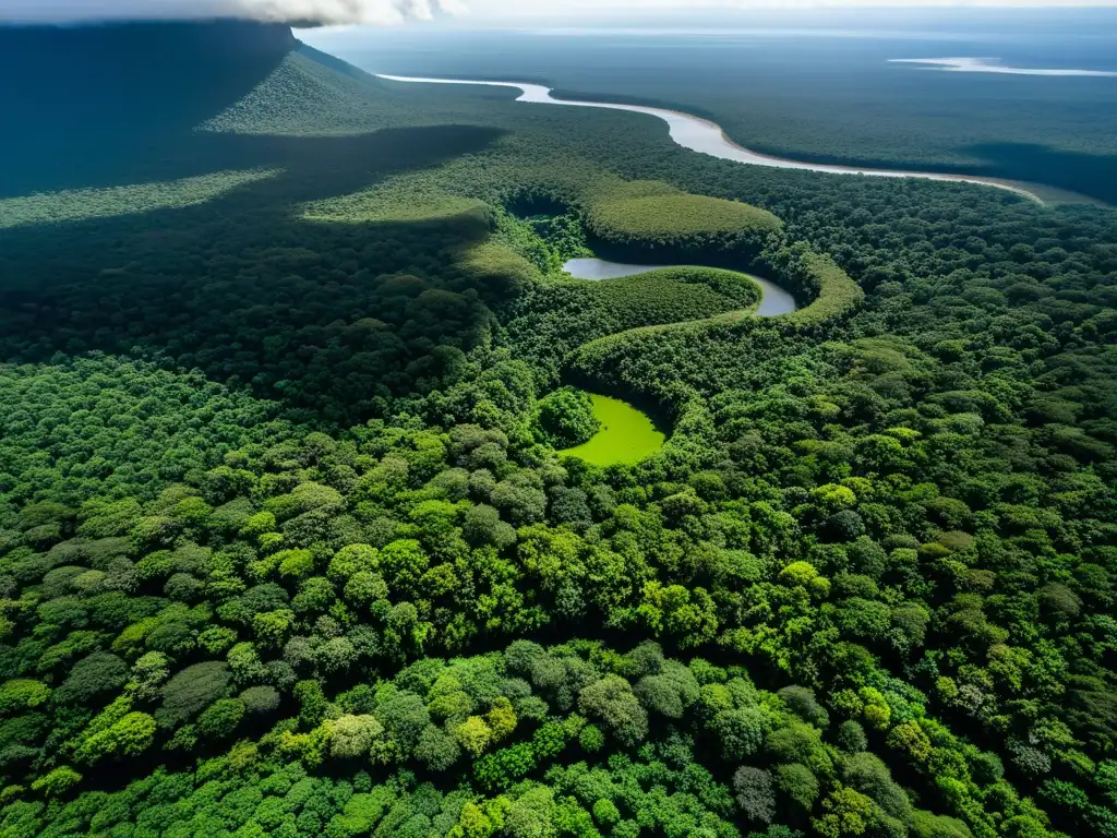 Vista aérea del exuberante Parque Nacional Isiboro Sécure en Bolivia, mostrando la densa selva y el río serpenteante