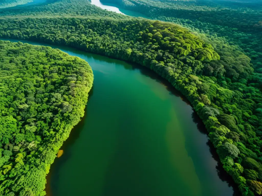 Vista aérea impresionante de un exuberante y biodiverso bosque lluvioso, con juego de luz y sombra